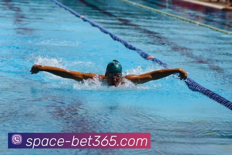 App Interface Preview